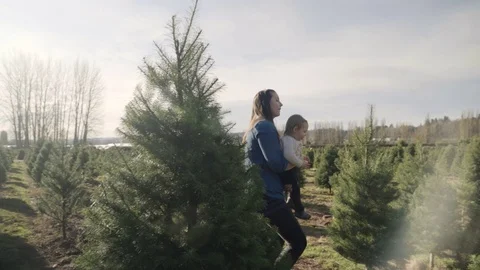 Medium shot of a mother showing pine trees to her child 動画素材 73066524