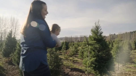 Medium shot of a mother showing pine trees to her child Video stock 73067790