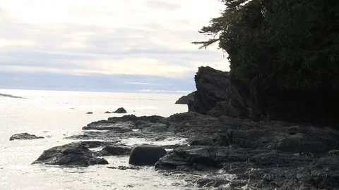 Medium shot of ocean waves crashing on rocky coast Video stock 75245628