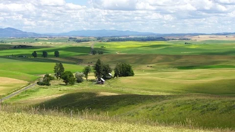 Medium shot of Palouse wheat field, one house and cloud in sunny weather Stock Footage 74571545