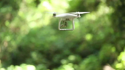 Medium shot of Phantom drone spinning in Redwood forest Stock Footage 73025672
