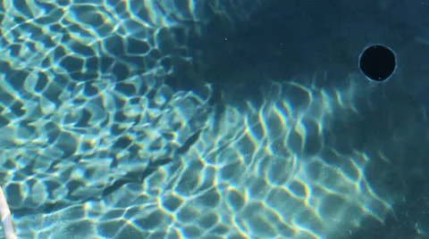 A medium shot of a pool vacuum Video stock 33899051