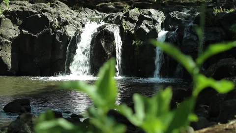Medium shot, rack focus from leaves to small waterfall and pool Stock Footage 272347757