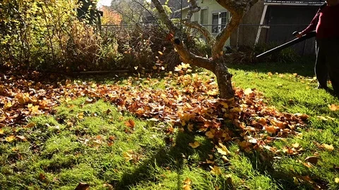 Medium shot of retired man using leaf blower to clean up backyard in autumn Stock Footage 120390074