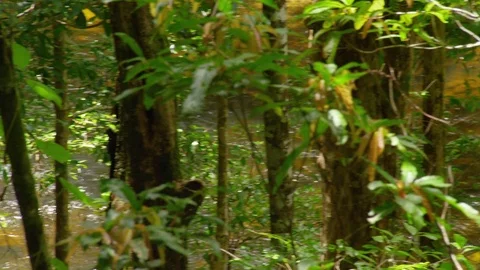 A medium shot of a river Stock Footage 79018478