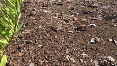 A medium shot showing a mound of brown earth with wooden debris and waste. 스톡 동영상 341672579