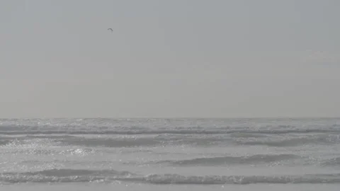 Medium shot of slow motion waves - beauty of the north sea Stock Footage 169645428