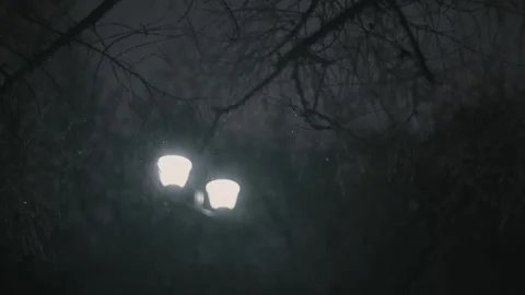 Medium Shot Of Street Lamp Stock Footage 139447953