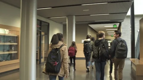 Medium shot of students walking in school corridor 動画素材 73298400