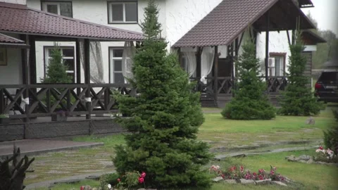 Medium shot of summer spruce in rain with verandas and houses background 動画素材 163693583