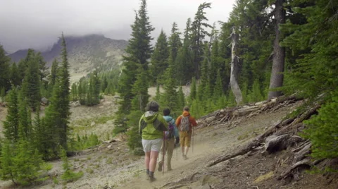 Medium shot of three hikers Stock Footage 59309279