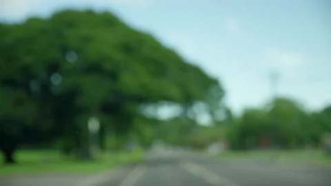 Medium shot of tree on street Stock Footage 78971204