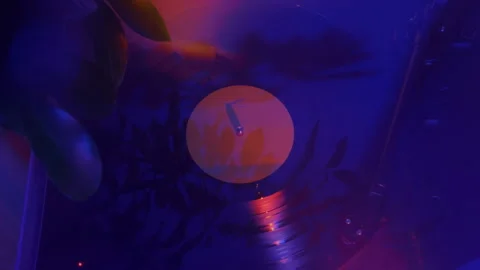 Medium shot vinyl record player with plant leaves, cinematic lighting Video stock 337241888
