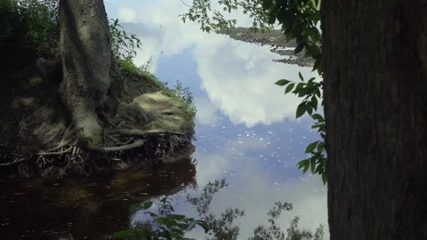 Medium Shot of Wallkill River bank, New Paltz, NY Video stock 84146785