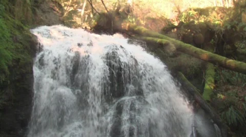 Medium Shot of waterfall  Video stock 327942