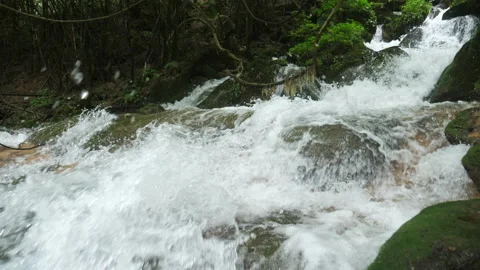 Medium Shot Waterfall in Forest Vídeo Stock 157673325