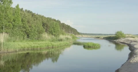 Medium size river flowing between forest and sand dunes into the sea Stock Footage 159980836