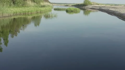 Medium size river flowing between forest and sand dunes into the sea Stock Footage 159980852
