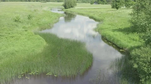 Medium size river flowing through green meadows in a sunny summer day Stock Footage 159980776
