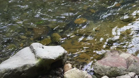 A medium sized boulder with the river water still flowing around it Stock Footage 204768961