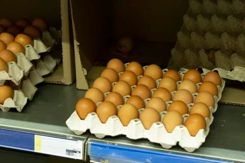Medium sized brown chicken eggs in cardboard egg trays contrasted Stock Photos