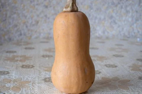 A medium sized carving pumpkin on display at a farmers market. Vertical forma Stock Photos