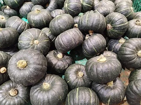 A medium-sized gourd that is common in East Asia Stock Photos