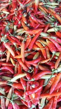 Medium-sized red and yellowish-green chilies Stock Photos