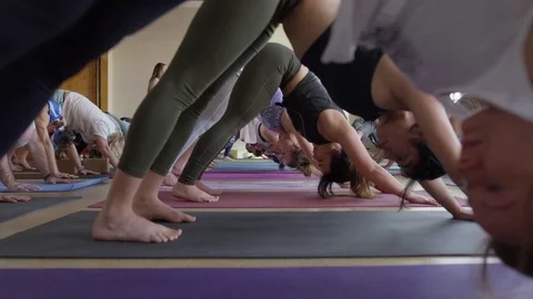 Medium slow motion zoom out shot of yoga class performing downward-facing dog / Stock Footage