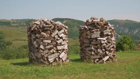 Medium static shot of two large cylindrical stacks of chopped firewood on a Stock Footage 348706622
