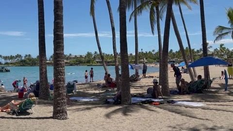 Medium, static shot of vacationers relaxing  on Anaeholomalu Bay Beach Stock Footage 291465063