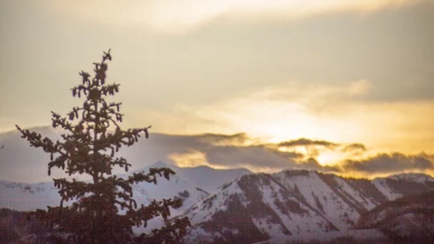 Medium sunset timelapse over snowcovered peaks with a pine tree foreground. Stock Footage 107613136