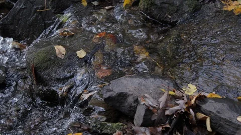 Medium timelapse of mossy rock and stream Stock Footage 103054963