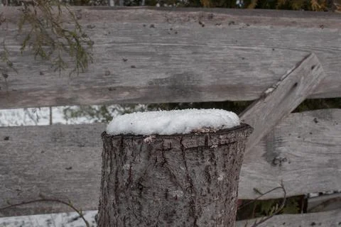 Medium tree stump with snow on top. Stock Photos