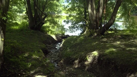 Medium of Tributary leading to Wallkill River, New Paltz, NY Video stock 84077113