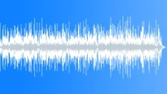 Medium Vibrancy Acoustic Incidental Music with Resonator guitarStock Music