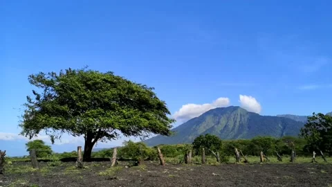 MEDIUM VIEW LANDSCAPE NATURE MOUNTAIN WITH BLUE SKY IN THE MORNING Video stock 203094824