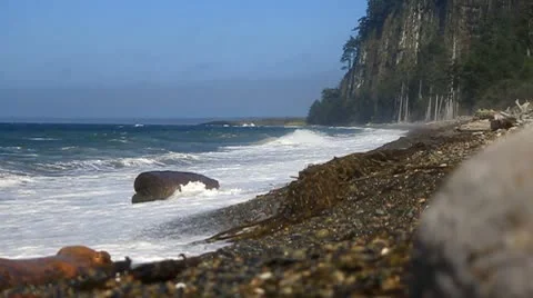 Medium waves pulling log out to see Stock Footage 10746832