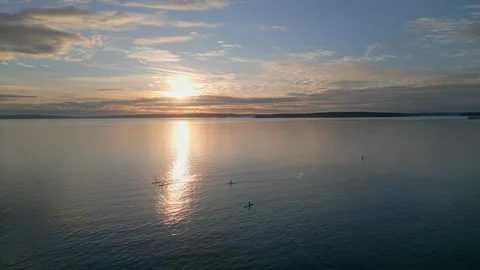 Medium wide aerial orbit of paddle boarders at sunrise Stock Footage 304270477