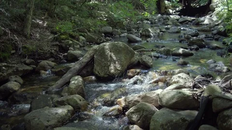 Medium Wide shot of Stream in Forest Video stock 84146806