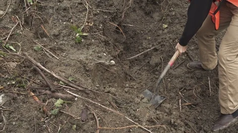 Medium wide shot of two workers digging with shovels Stock-Footage 73252284