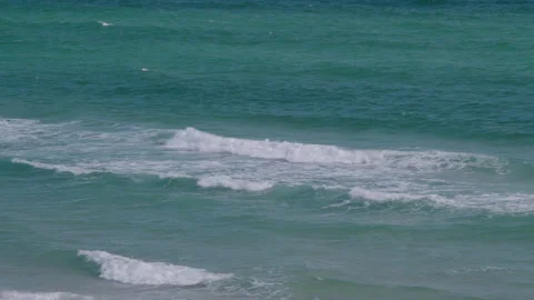 Medium Wide Slow Motion of Gentle Waves With White Caps of Gulf of Mexico off Fl Stock Footage 133013982