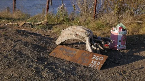 Medium Wide of Trash by Chehalis River Aberdeen Washington Stock Footage 95140175