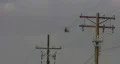 Medivac chopper - 4 Vidéos HD
