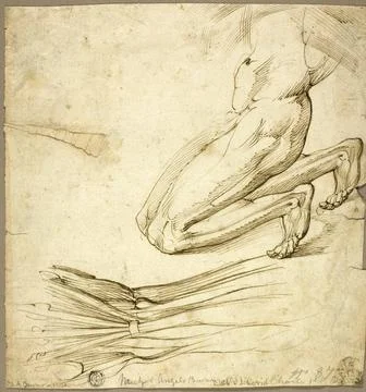 Medizin, Anatomische Studie und Skizze einer knienden Figur, von Michelang... Stock Photos