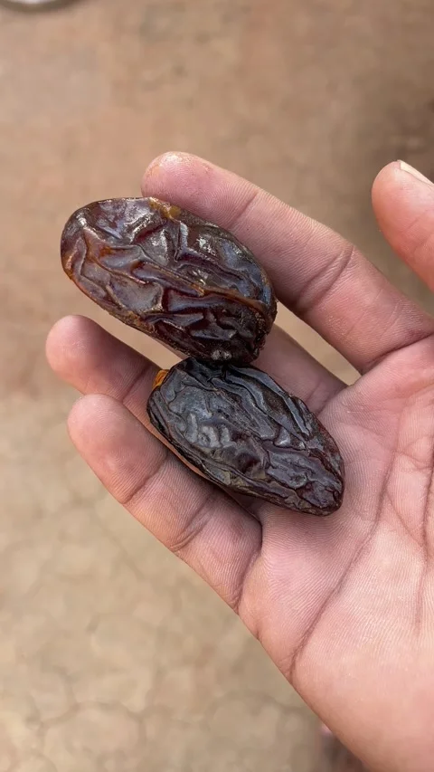 Medjool dates held in hand close-up for healthy fruit concept Stock-Footage 322901425