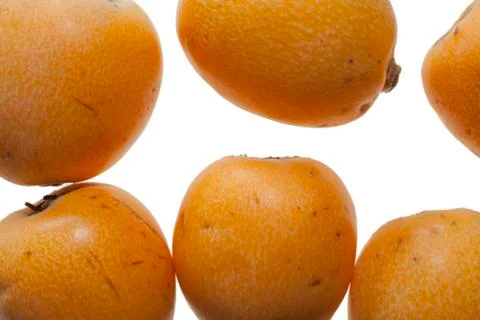 Medlar Fotos de archivo