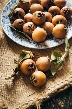 Medlar Stock Photos