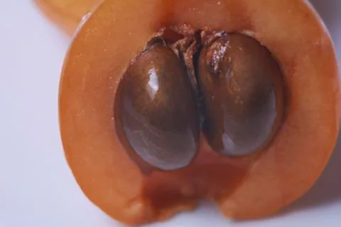 Medlar, split in half, bones Stock Photos