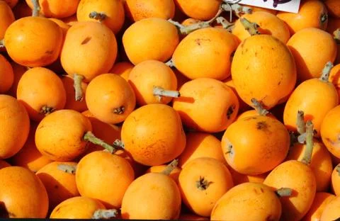 Medlars Stock Photos
